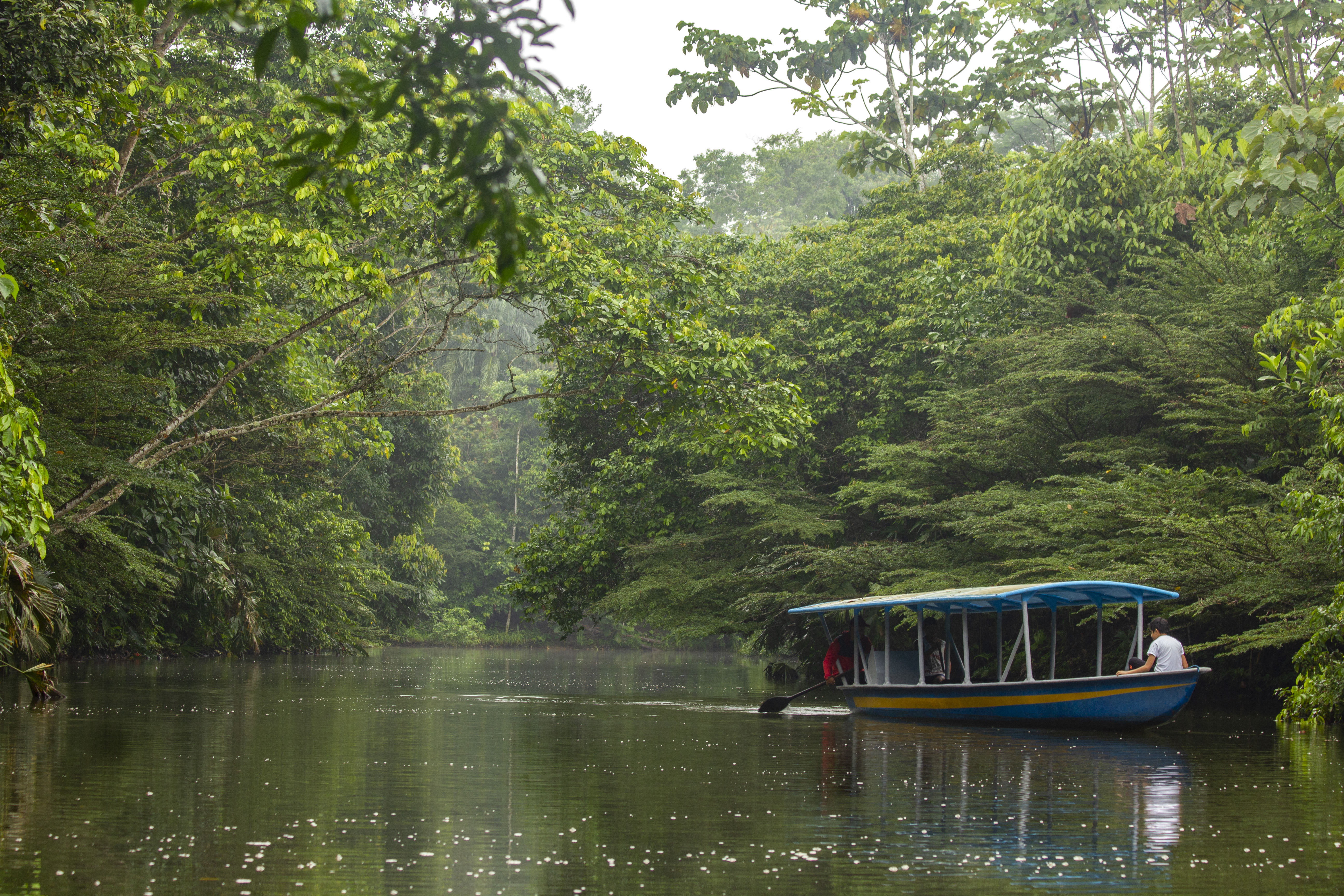 Navegación por los ríos de la amazonía